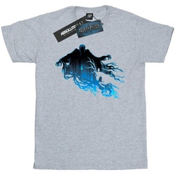 Abbigliamento Bambina T-shirts a maniche lunghe Harry Potter Dementor Silhouette Grigio
