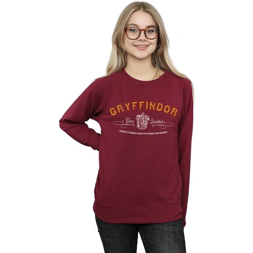 Abbigliamento Donna Felpe Harry Potter Gryffindor Team Quidditch Multicolore