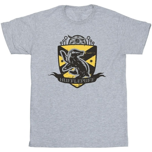 Abbigliamento Bambino T-shirt maniche corte Harry Potter Hufflepuff Chest Badge Grigio