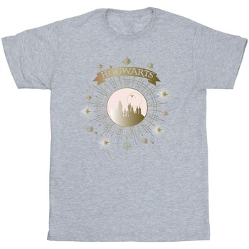 Abbigliamento Bambino T-shirt & Polo Harry Potter BI21171 Grigio