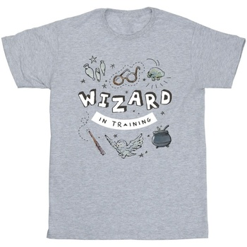 Abbigliamento Bambino T-shirt & Polo Harry Potter BI21195 Grigio