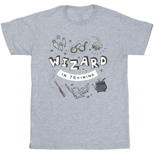 Abbigliamento Bambino T-shirt & Polo Harry Potter Wizard In Training Grigio