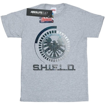 Abbigliamento Bambina T-shirts a maniche lunghe Marvel Avengers SHIELD Logo Grigio