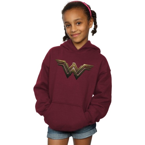 Abbigliamento Bambina Felpe Dc Comics Wonder Woman Logo Multicolore