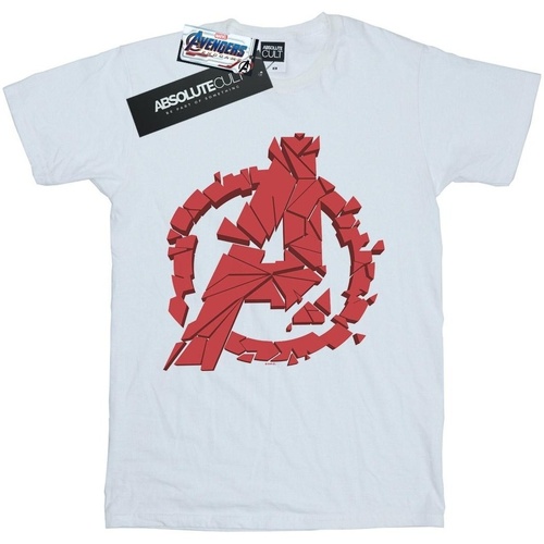 Abbigliamento Bambina T-shirts a maniche lunghe Marvel Avengers Endgame Shattered Logo Bianco
