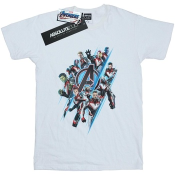 Abbigliamento Bambina T-shirts a maniche lunghe Marvel Avengers Endgame Logo Team Bianco