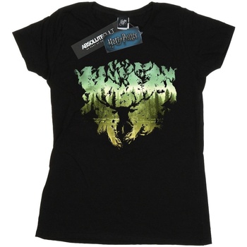 Abbigliamento Donna T-shirts a maniche lunghe Harry Potter Magical Forest Nero