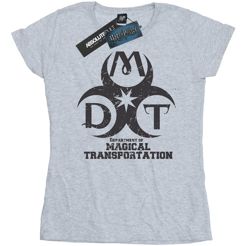 Abbigliamento Donna T-shirts a maniche lunghe Harry Potter Department Of Magical Transportation Logo Grigio