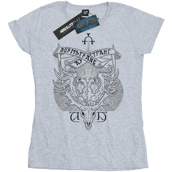 Abbigliamento Donna T-shirts a maniche lunghe Harry Potter Durmstrang Institute Crest Grigio