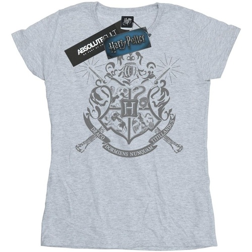 Abbigliamento Donna T-shirts a maniche lunghe Harry Potter Hogwarts Badge Wands Grigio