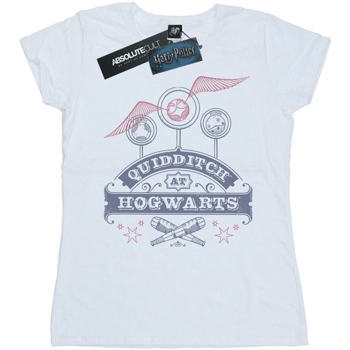 Abbigliamento Donna T-shirts a maniche lunghe Harry Potter Quidditch At Hogwarts Bianco