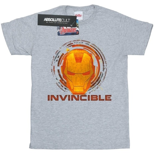 Abbigliamento Uomo T-shirts a maniche lunghe Marvel Iron Man Invincible Grigio