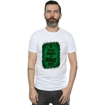 Abbigliamento Uomo T-shirts a maniche lunghe Marvel Hulk Stay Angry Bianco