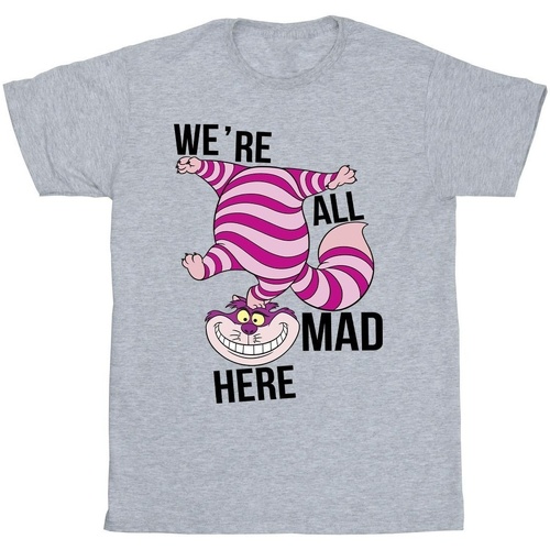 Abbigliamento Bambino T-shirt maniche corte Disney Alice In Wonderland All Mad Here Grigio