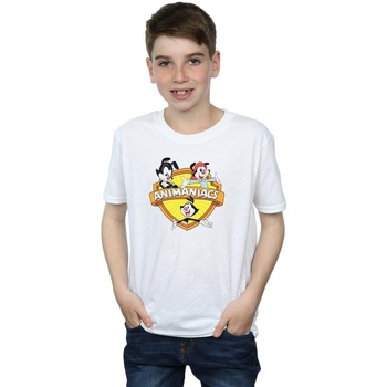 Abbigliamento Bambino T-shirt maniche corte Animaniacs Logo Crest Bianco