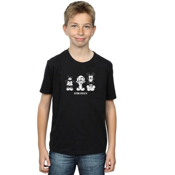 Abbigliamento Bambino T-shirt maniche corte Animaniacs Three Evils Nero