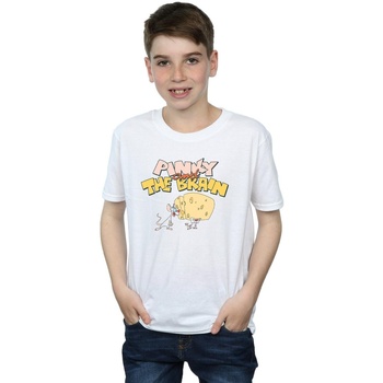 Abbigliamento Bambino T-shirt maniche corte Animaniacs Pinky And The Brain Cheese Head Bianco