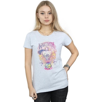 Abbigliamento Donna T-shirts a maniche lunghe Harry Potter Love Potion Grigio
