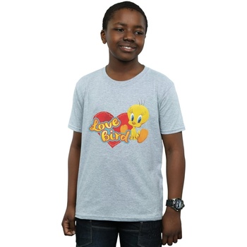 Abbigliamento Bambino T-shirt maniche corte Dessins Animés Tweety Pie Valentine's Day Love Bird Grigio