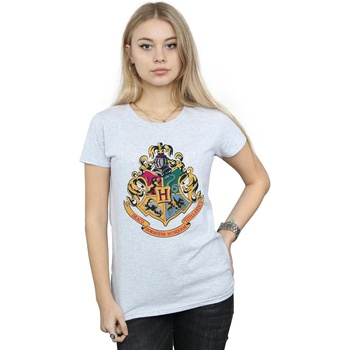 Abbigliamento Donna T-shirts a maniche lunghe Harry Potter Hogwarts Crest Gold Ink Grigio