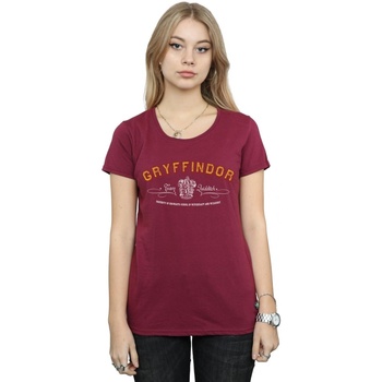 Abbigliamento Donna T-shirts a maniche lunghe Harry Potter Gryffindor Team Quidditch Multicolore
