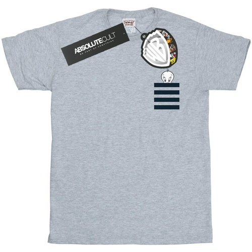 Abbigliamento Bambina T-shirts a maniche lunghe Dessins Animés Tweety Pie Striped Faux Pocket Grigio