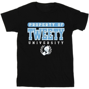 Abbigliamento Bambino T-shirt maniche corte Dessins Animés Tweety Property Of University Nero