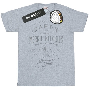 Abbigliamento Bambina T-shirts a maniche lunghe Dessins Animés Daffy Duck Despicable Grigio