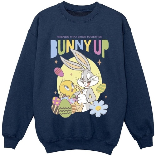 Abbigliamento Bambino Felpe Dessins Animés Bunny Up Blu