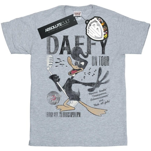 Abbigliamento Bambina T-shirts a maniche lunghe Dessins Animés Daffy Duck Concert Grigio