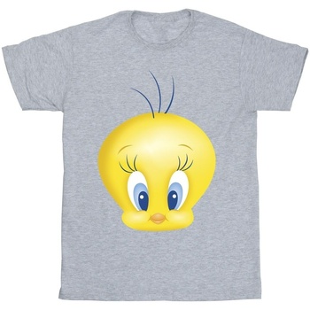 Abbigliamento Bambino T-shirt & Polo Dessins Animés Tweety Face Grigio