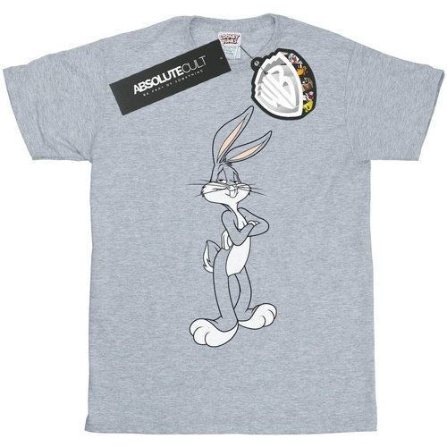 Abbigliamento Bambina T-shirts a maniche lunghe Dessins Animés Bugs Bunny Crossed Arms Grigio