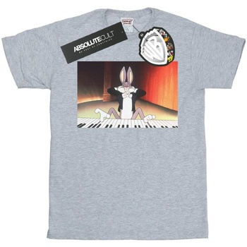 Abbigliamento Bambina T-shirts a maniche lunghe Dessins Animés Bugs Bunny Playing Piano Grigio
