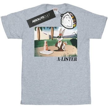 Abbigliamento Bambina T-shirts a maniche lunghe Dessins Animés Bugs Bunny A-Lister Grigio