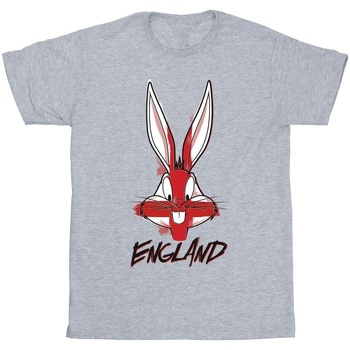 Abbigliamento Bambino T-shirt & Polo Dessins Animés Bugs England Face Grigio