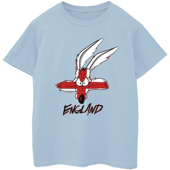 Abbigliamento Bambino T-shirt maniche corte Dessins Animés Coyote England Face Blu
