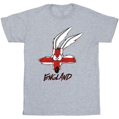 Abbigliamento Bambino T-shirt maniche corte Dessins Animés Coyote England Face Grigio