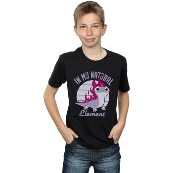 Abbigliamento Bambino T-shirt maniche corte Disney Frozen 2 Salamander Bruni Element Nero