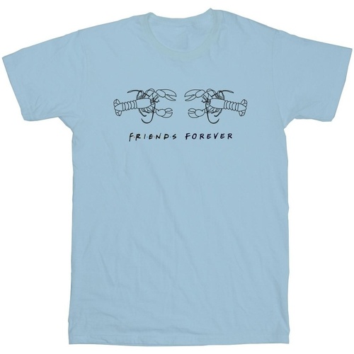Abbigliamento Bambina T-shirts a maniche lunghe Friends BI19171 Blu