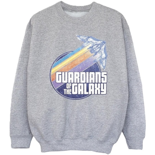 Abbigliamento Bambina Felpe Guardians Of The Galaxy Badge Rocket Grigio