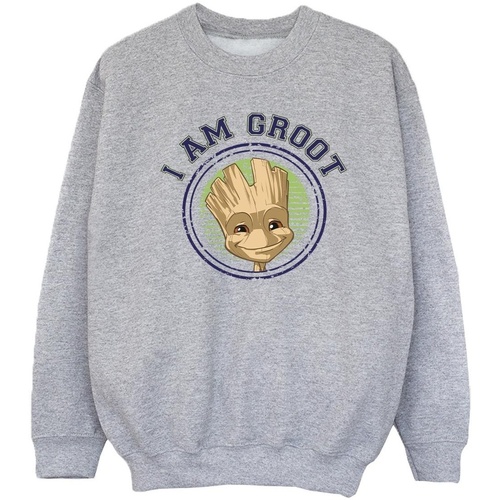 Abbigliamento Bambina Felpe Guardians Of The Galaxy Groot Varsity Grigio