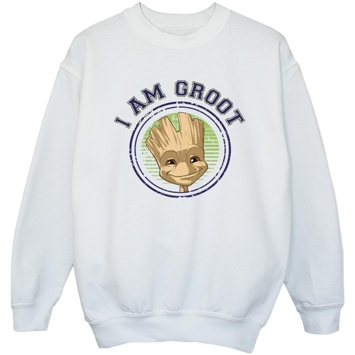 Abbigliamento Bambina Felpe Guardians Of The Galaxy Groot Varsity Bianco