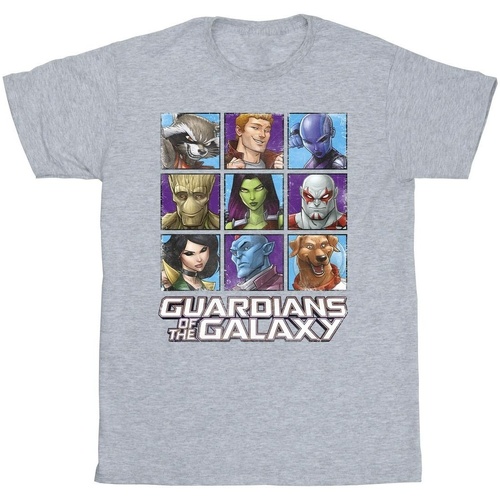 Abbigliamento Bambino T-shirt maniche corte Guardians Of The Galaxy Character Squares Grigio