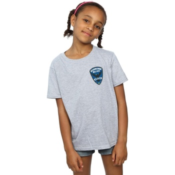 Abbigliamento Bambina T-shirts a maniche lunghe Dc Comics Arrow Starling Metro Badge Grigio