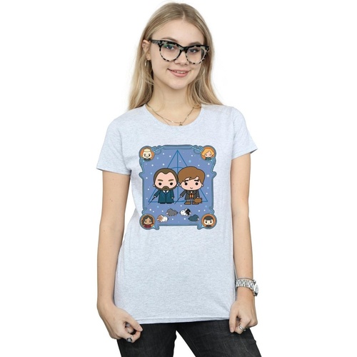 Abbigliamento Donna T-shirts a maniche lunghe Fantastic Beasts Chibi Newt And Dumbledore Grigio