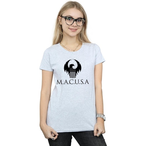 Abbigliamento Donna T-shirts a maniche lunghe Fantastic Beasts MACUSA Logo Grigio