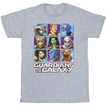 Abbigliamento Bambina T-shirts a maniche lunghe Guardians Of The Galaxy Character Squares Grigio