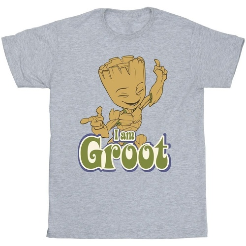 Abbigliamento Bambina T-shirts a maniche lunghe Guardians Of The Galaxy Groot Dancing Grigio