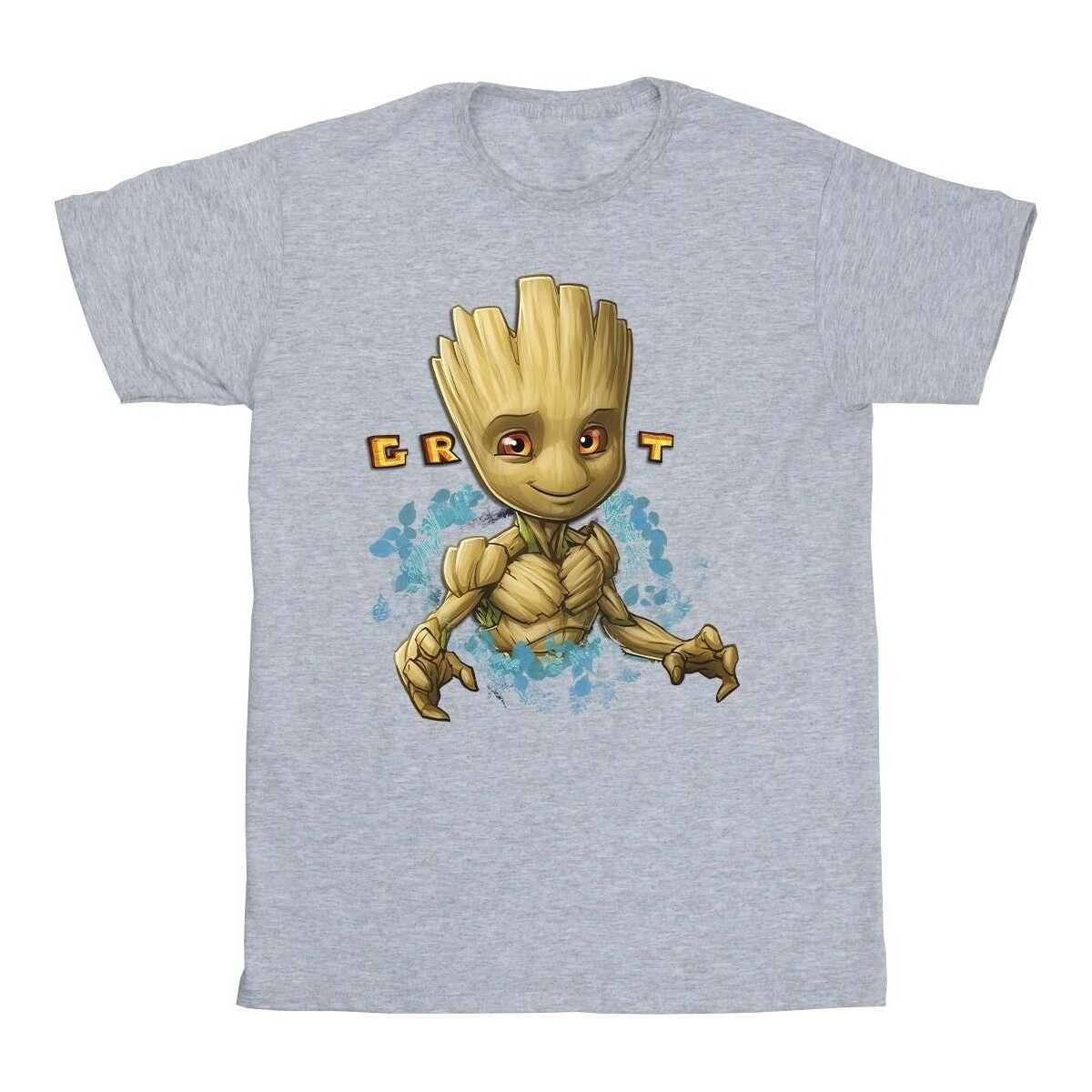 Abbigliamento Bambina T-shirts a maniche lunghe Guardians Of The Galaxy Groot Flowers Grigio