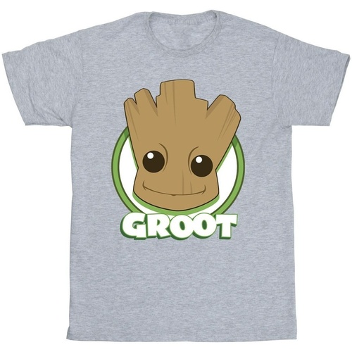 Abbigliamento Bambina T-shirts a maniche lunghe Guardians Of The Galaxy Groot Badge Grigio